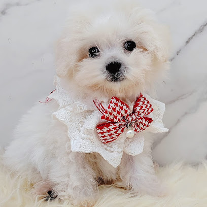 Furgather Destiny Pet House Puchong 宠遇店铺 - Pet Hotel , Grooming , DayCare , Boarding & Retail