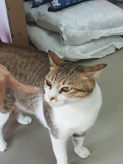 Expert Pet Store • 16 Sierra Puchong
