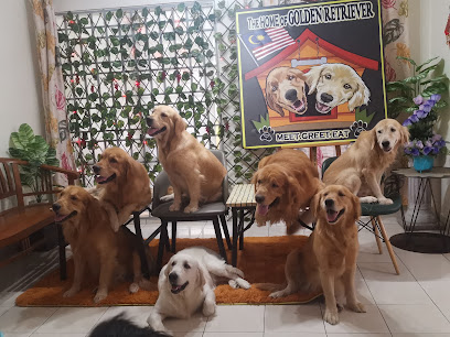 The Home Of Golden Retrievers Malaysia