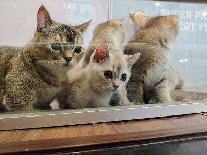ONLY PETS (Lotus's Bukit Puchong)